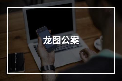 龙图公案